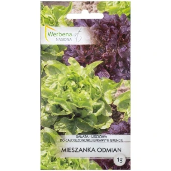 Sałata liściowa – mieszanka odmian 1g Werbena