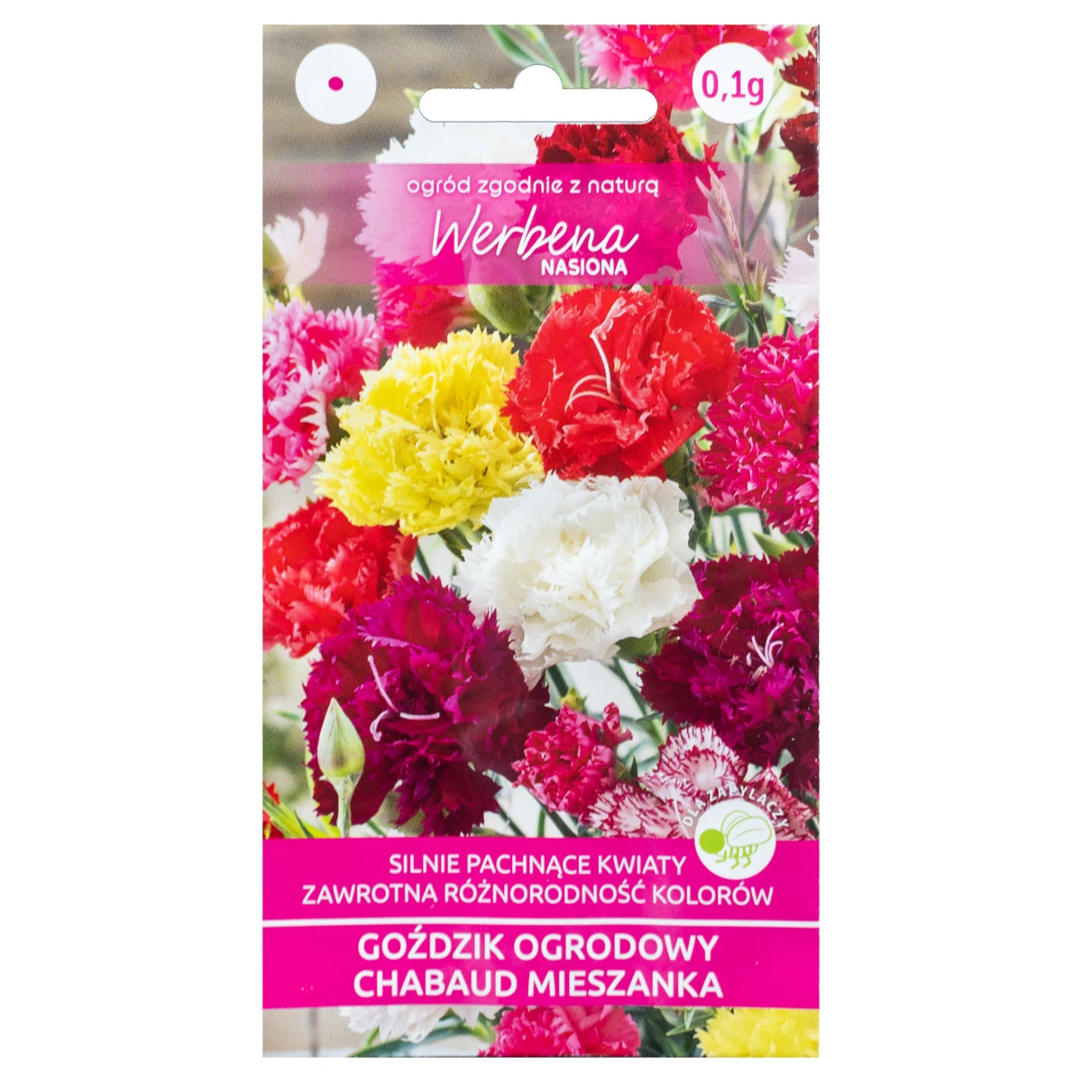 Goździk ogrodowy Chabaud mix 0,1g Werbena