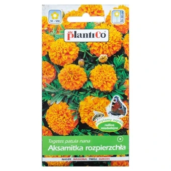 Aksamitka Rozpierzchła Orange Plantico Nasiona 1 g
