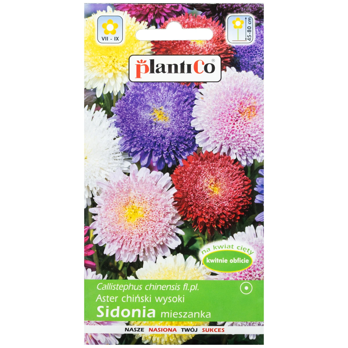Aster typ Sidonia Mix Nasiona Plantico 1 g