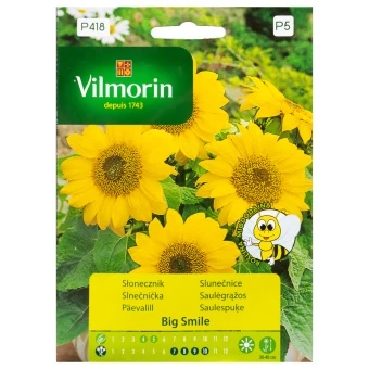 VILMORIN SŁONECZNIK KWIATOWY BIG SMILE 0,5G P.197292.113