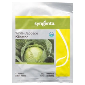Kapusta Głowiasta  Biała Kilastor Nasiona 2,5 tys.