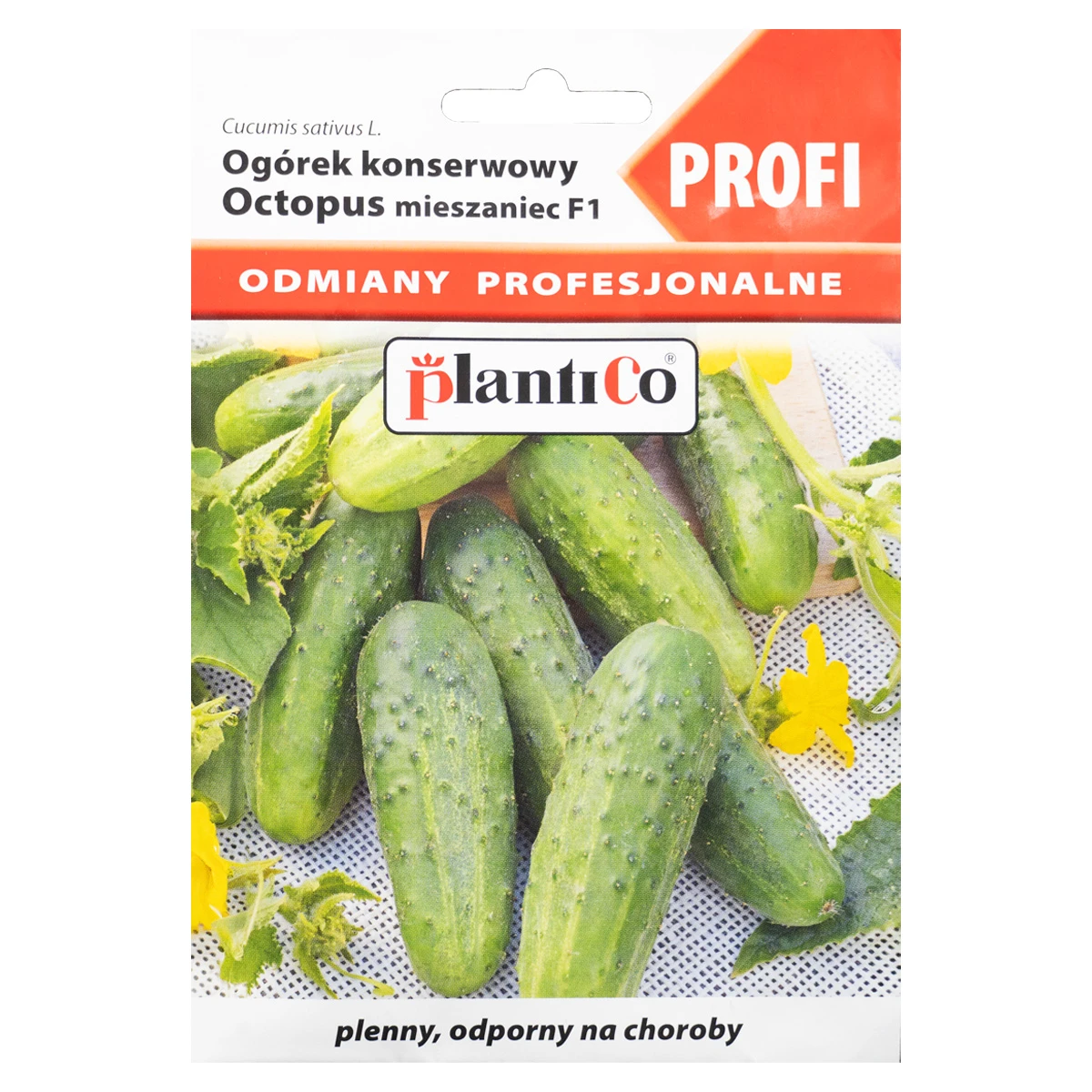 Ogórek Konserwowy Octopus Nasiona Plantico 1,5 g