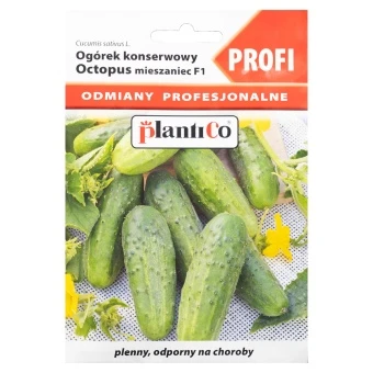 Ogórek Konserwowy Octopus Nasiona Plantico 1,5 g