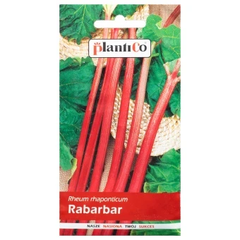 Rabarbar Lider Nasiona Plantico 0,5 g