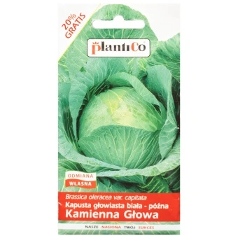Kapusta Kamienna Głowa Biała Nasiona Plantico 2,4 g