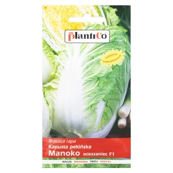 Kapusta Pekińska Manoko Mieszaniec Nasiona Plantico 0,15 g