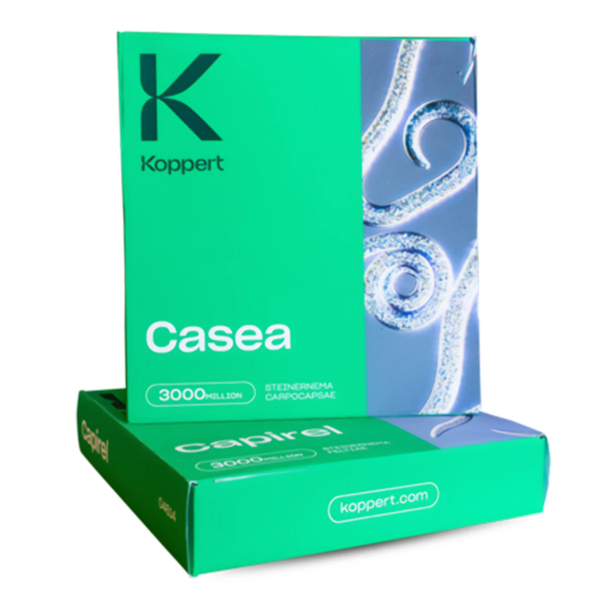 Casea/ Steinernema carpocapsae/ Capsanem 4x750 milionów