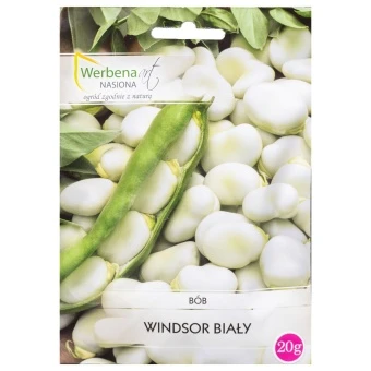Bób 'Windsor Biały' 20g Werbena