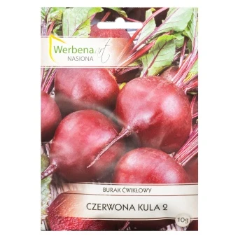 Burak ćwikłowy 'Czerwona Kula 2' 10g Werbena