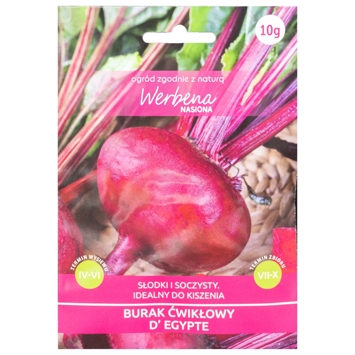 Burak ćwikłowy 'D'Egypte' 10g Werbena