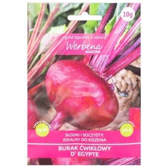  Burak ćwikłowy 'D'Egypte' 10g Werbena