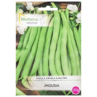 Fasola Zwykła Karłowa Zielona Jagusia Nasiona 20 g