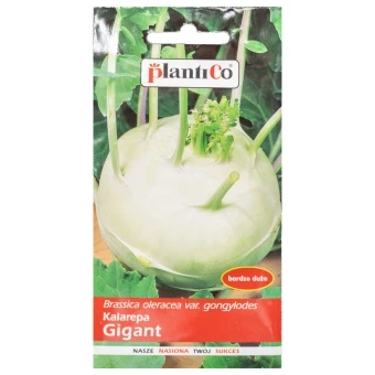 Kalarepa Gigant Nasiona Plantico 2 g