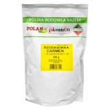 Kup razem Rzodkiewka Carmen Nasiona 500 g