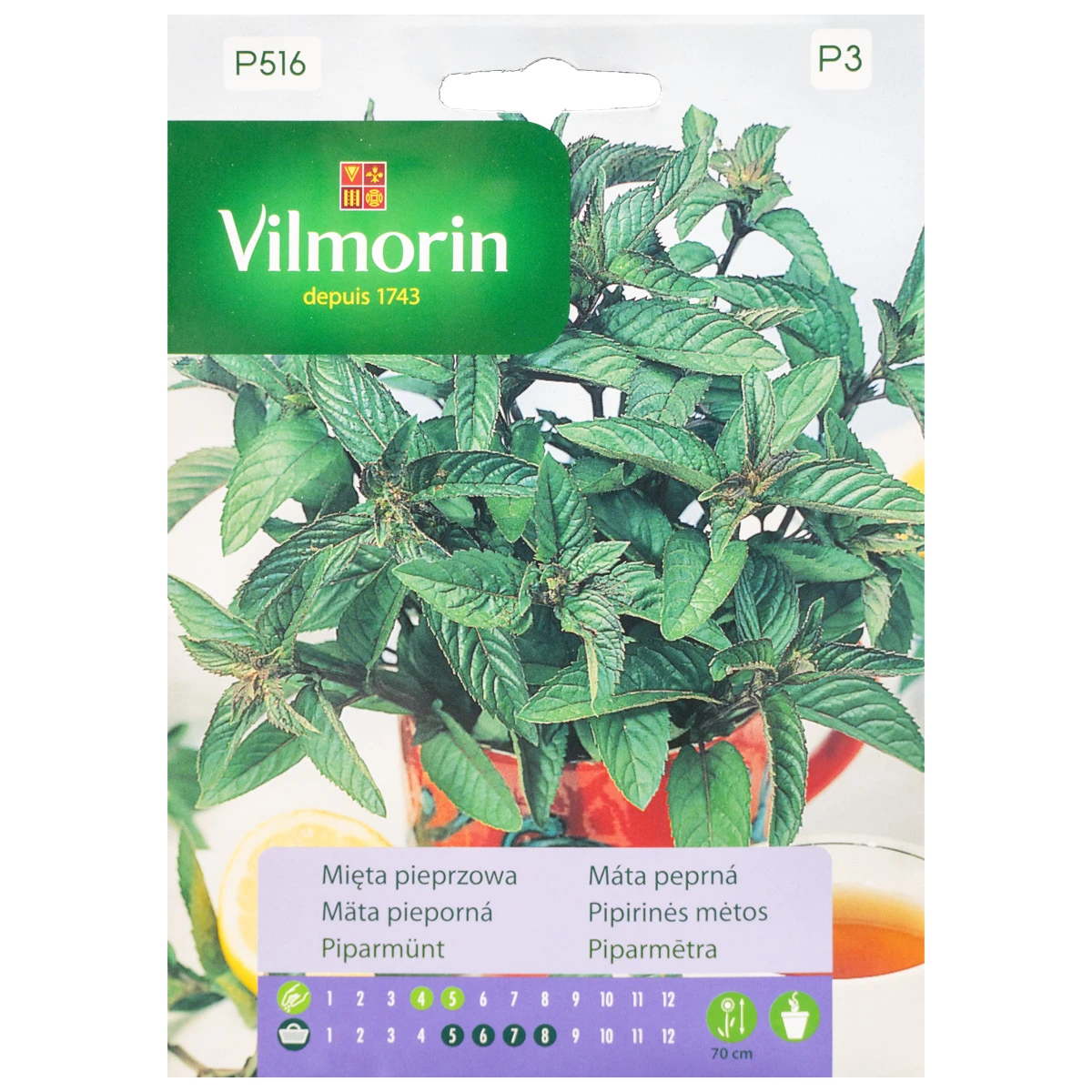 Mięta Pieprzowa Nasiona 0,1 g Vilmorin