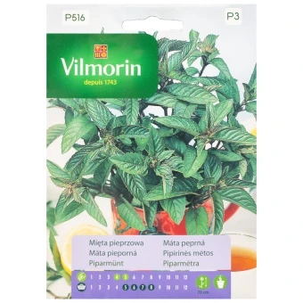 Mięta Pieprzowa Nasiona 0,1 g Vilmorin