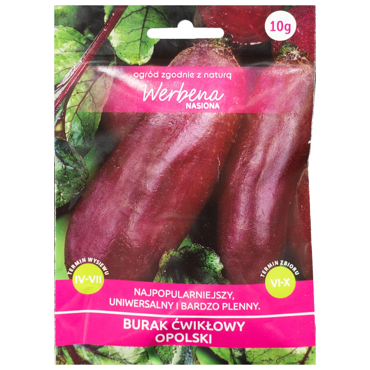 Burak Ćwikłowy Opolski Nasiona 10 g