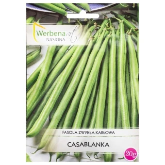 Fasola Zwykła Karłowa Casablanka Nasiona 20 g