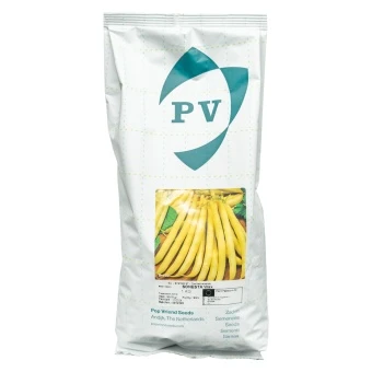 Fasola Szparagowa Żółta Sonesta 1 kg