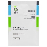 Kup razem Kalafior Oviedo Nasiona  2.5 tys.