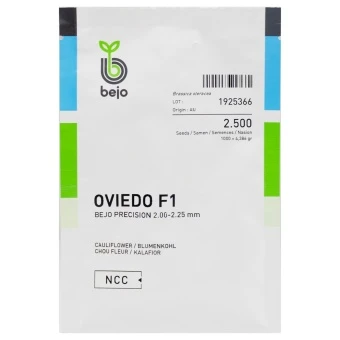 Kalafior Oviedo Nasiona  2.5 tys.