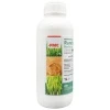 Rumba 069 EW 1 L