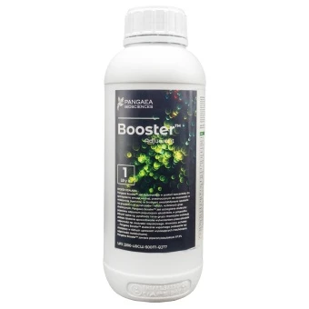 Pangaea Booster 1 L