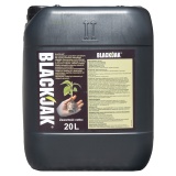 Kup razem Blackjak 20 L