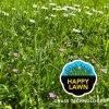 Barenbrug Mieszanka Happy Lawn YJ BS 0,5 kg na trawniki mikrokoniczyna