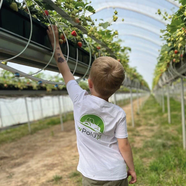 Koszulka z Truskawką StrawBaby rozm. 98  