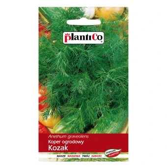 Koper Ogrodowy Kozak Nasiona 6 g Plantico