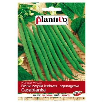 Fasola Szparagowa Zielona Casablanka Nasiona 40 g