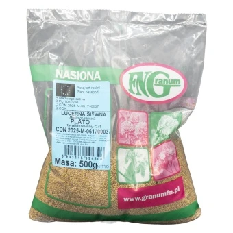 Lucerna siewna Plato C/1 na poplon 0,5 kg