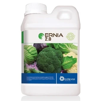 ERNIA 2.0 1L