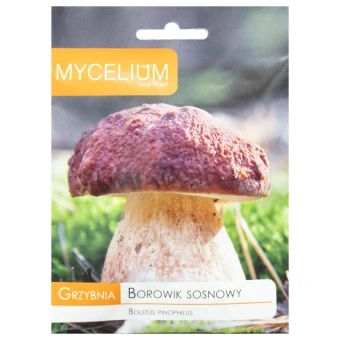 Grzybnia Borowik sosnowy 10 g