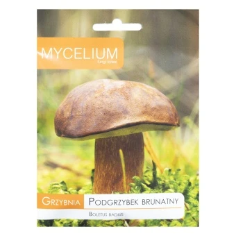 Grzybnia Podgrzybek brunatny 10 g
