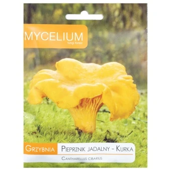Grzybnia Pieprznik jadalny Kurka10 g