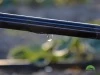 Taśma Politape 6 mil 5l/h 20 cm 100 m nawadnianie kropelkowe