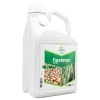 FANDANGO  200EC 5 L