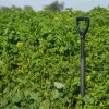  Mieszanka nasion na poplon Nemaprotect 25 kg Barenburg