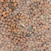 Rzodkiew oleista Romesa C/1 na poplon 1 kg