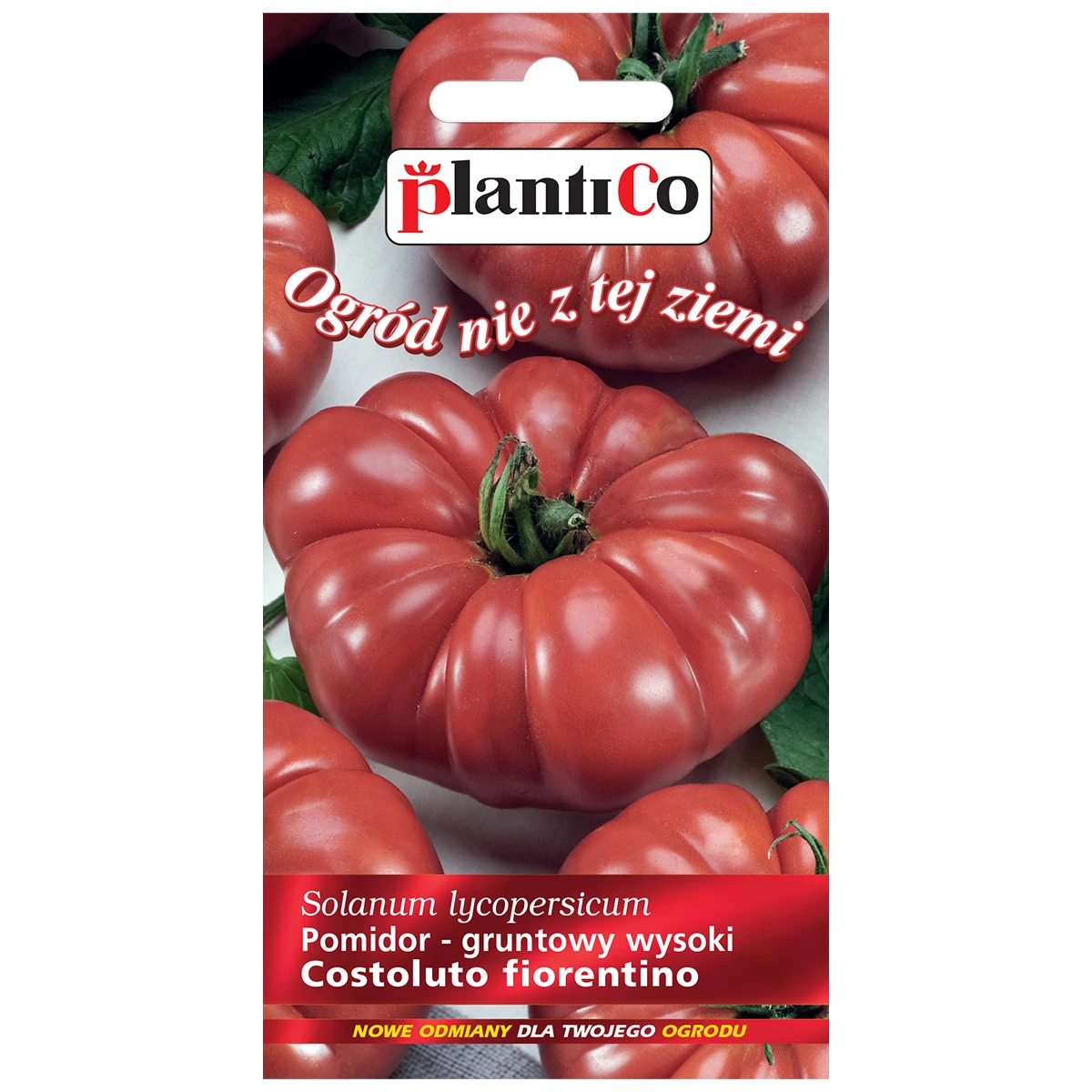 Pomidor Gruntowy Costoluto Fiorentino Nasiona 0,2 g