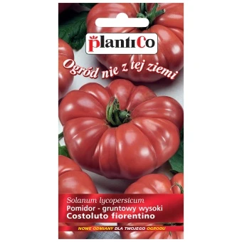 Pomidor Gruntowy Costoluto Fiorentino Nasiona 0,2 g
