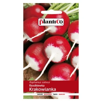 Rzodkiewka Krakowianka Nasiona 10G