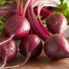 Burak Ćwikłowy Czerwona Kula 2 NOE Nasiona 500 g