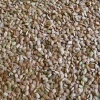 Seradela pastewna H na poplon 1 kg