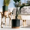 Donica Tubo PM antracytowy 15 cm Prosperplast