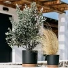 Donica Tubo PM zielona pinia 20 cm Prosperplast