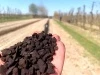 CARBOMAT ECO 20L pH 4,5 - nawóz organiczny z węgla brunatnego